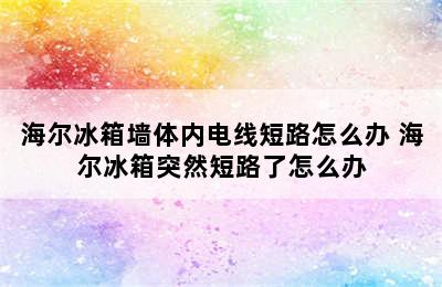 海尔冰箱墙体内电线短路怎么办 海尔冰箱突然短路了怎么办